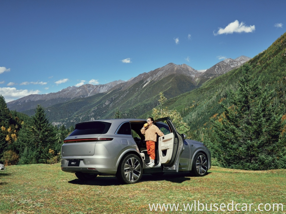 Li Electric Car Stock